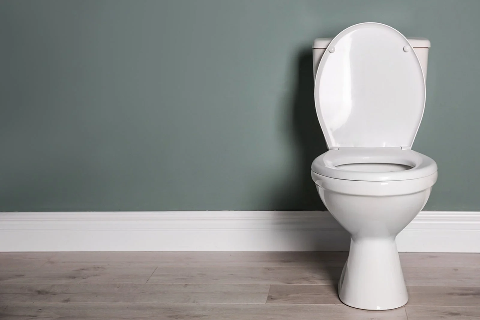 Toilet repair by top rated plumber