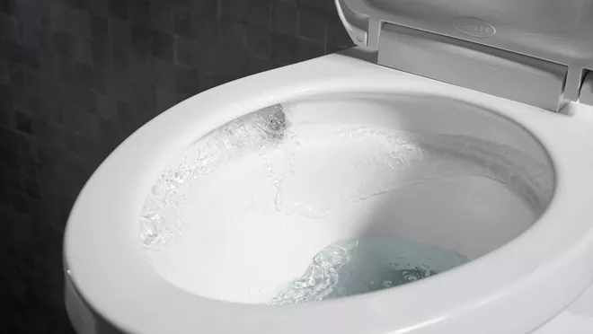 toilet repair